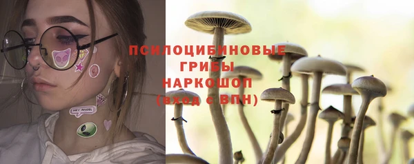 молекула духа Аркадак