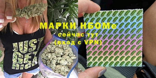 молекула духа Аркадак