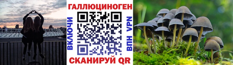 как найти закладки  нарко площадка состав  Псилоцибиновые грибы ЛСД  Рудня 